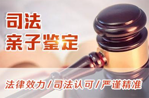 甘孜司法亲子鉴定大概价格,甘孜司法DNA鉴定怎么做